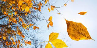 fall away